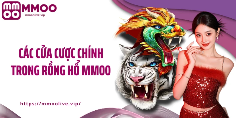 Các cửa cược chính trong rồng hổ MMOO